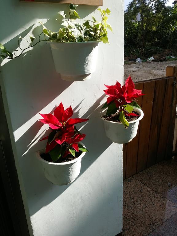 Flower B&B Hualian Zewnętrze zdjęcie